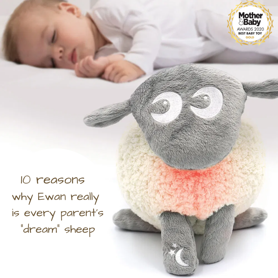 10 reasons why Ewan really is every parent's "dream" sheep.