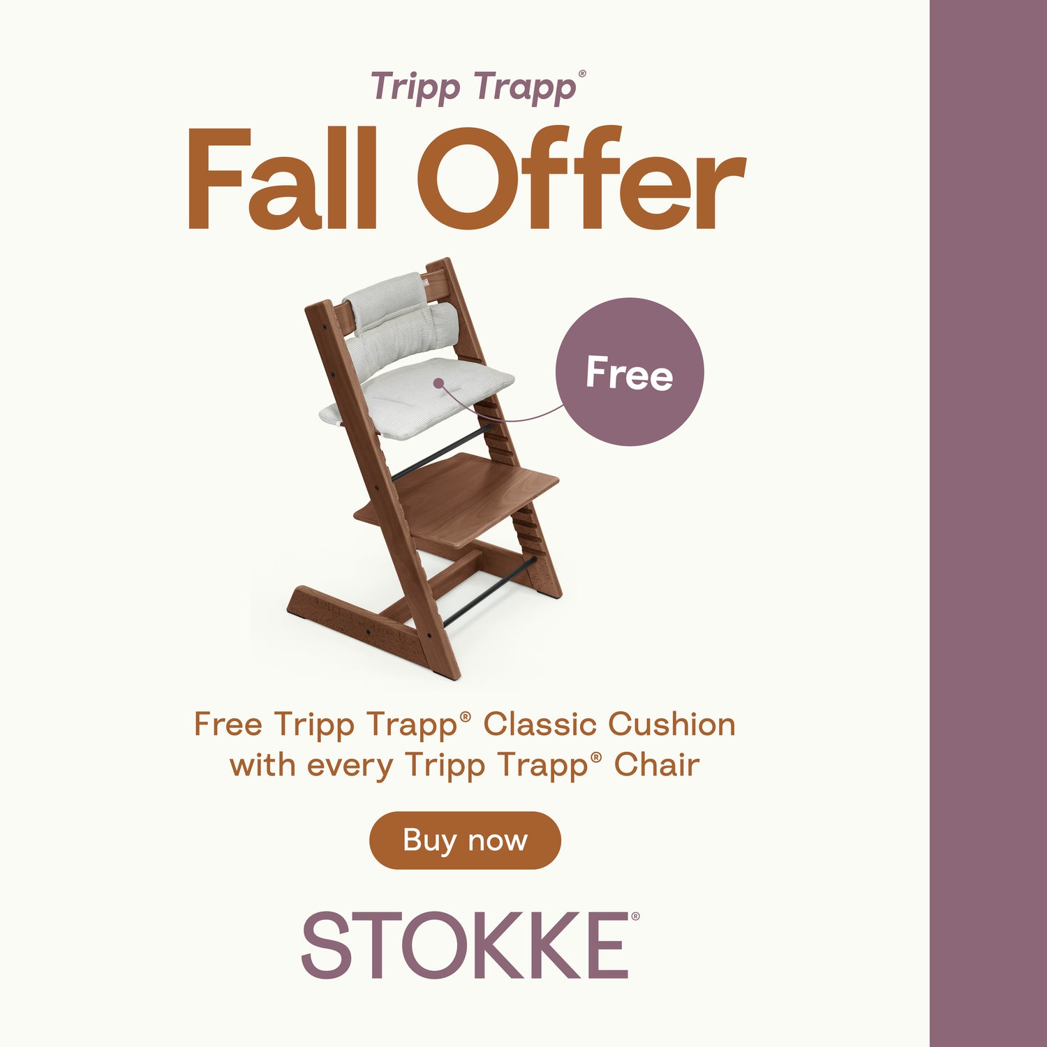 Fall Promo 25 TT Oak Chair + Free Classic Cushion