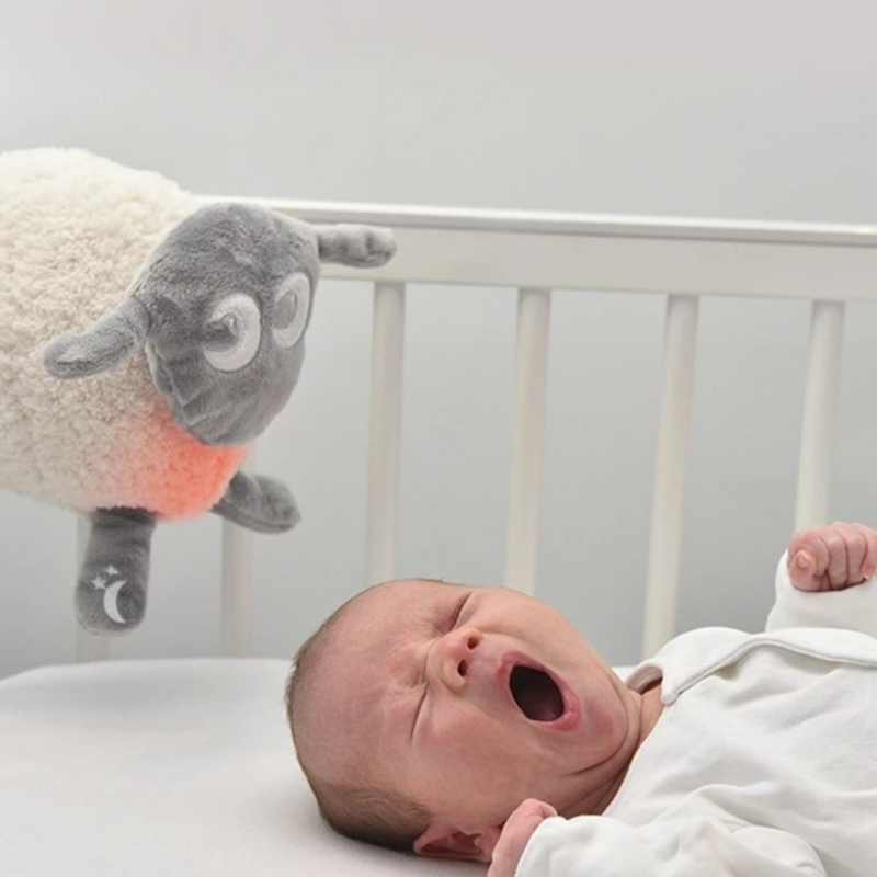 Sleep Coaching Packages By My Mamma