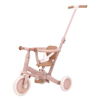 4 in 1 Tricycle Little Dutch