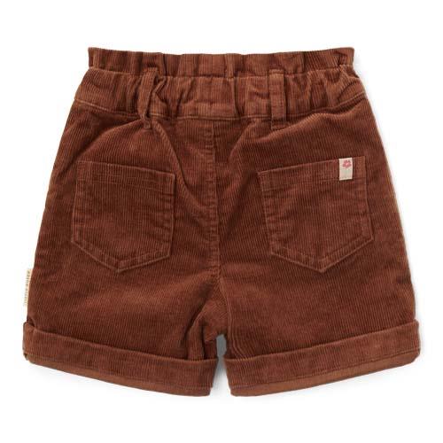 Shorts Walnut Brown