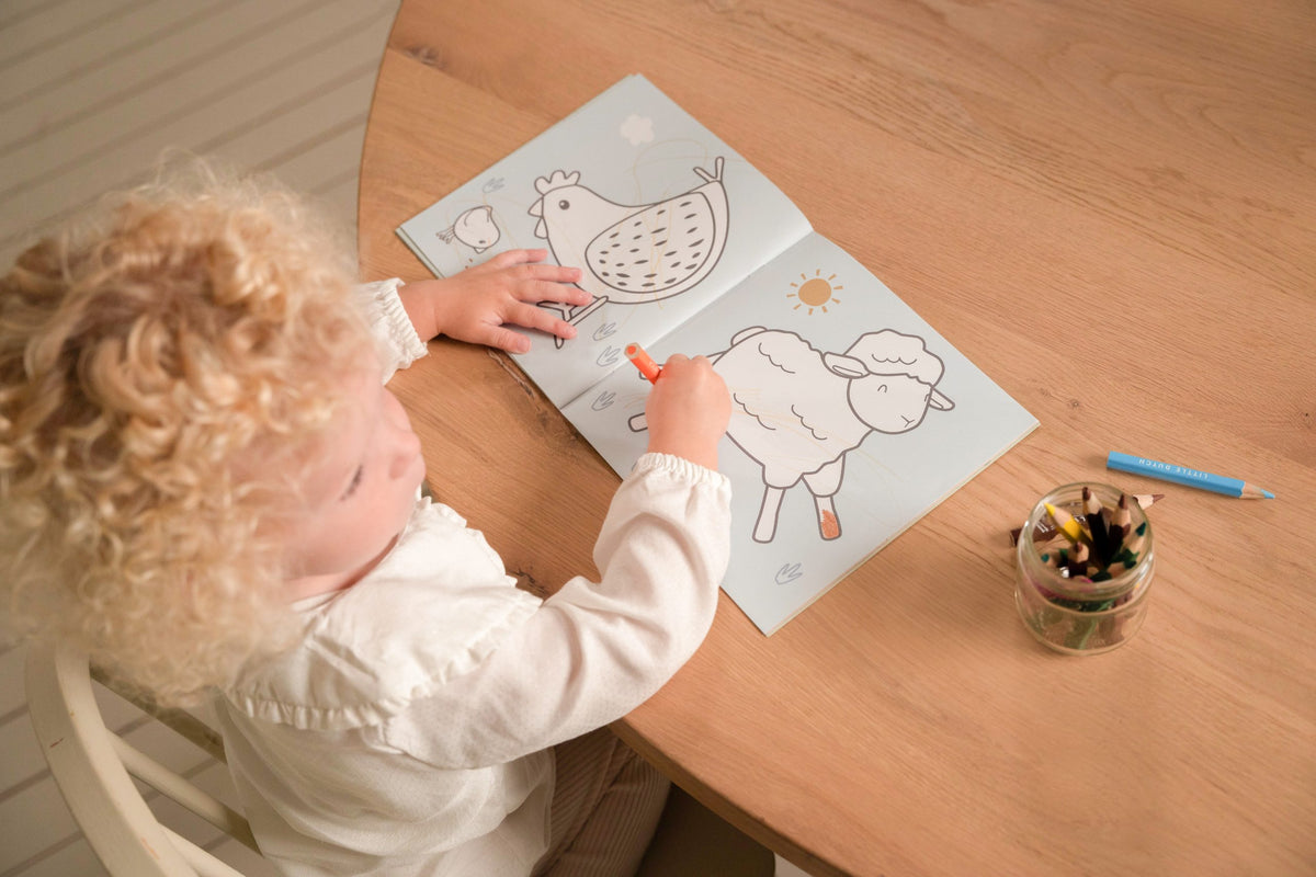 Sketch & Coloring Book Little Farm