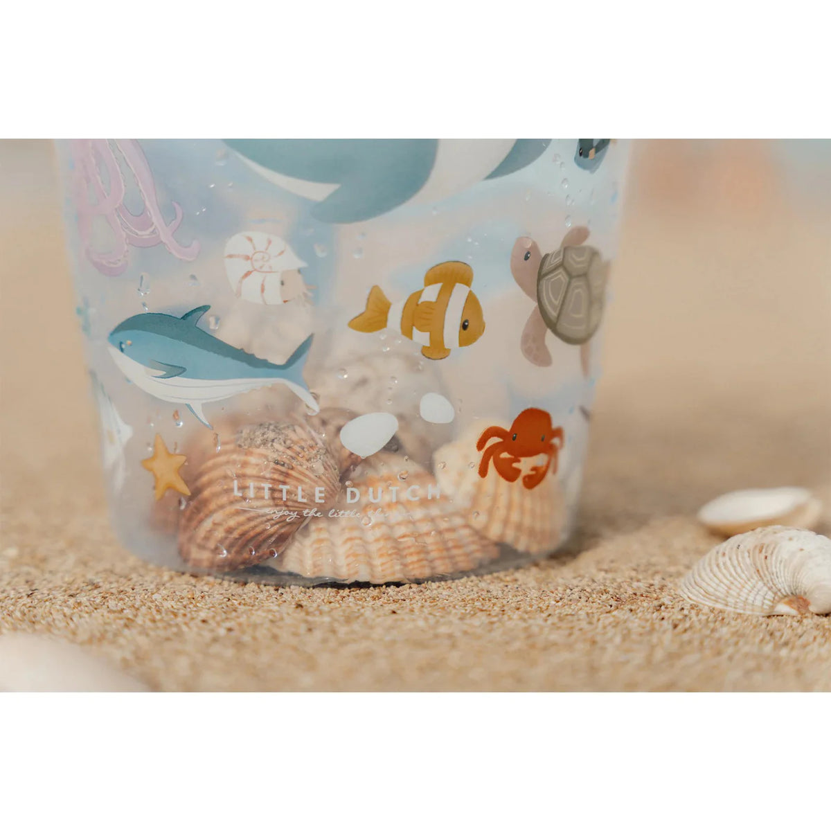 Shell Bucket Sea Life