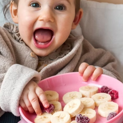 Infant Plate with Lid | 6 Months+