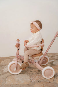 4 in 1 Tricycle Little Dutch