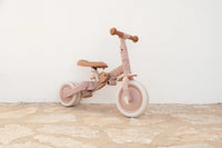 4 in 1 Tricycle Little Dutch