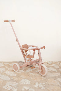 4 in 1 Tricycle Little Dutch