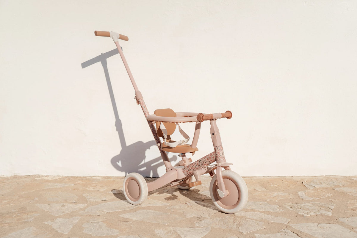 4 in 1 Tricycle Little Dutch