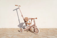 4 in 1 Tricycle Little Dutch