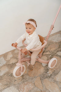 4 in 1 Tricycle Little Dutch