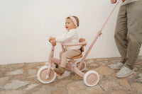 4 in 1 Tricycle Little Dutch