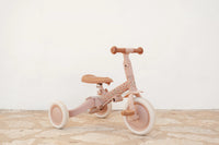 4 in 1 Tricycle Little Dutch