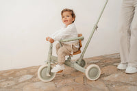 4 in 1 Tricycle Little Dutch