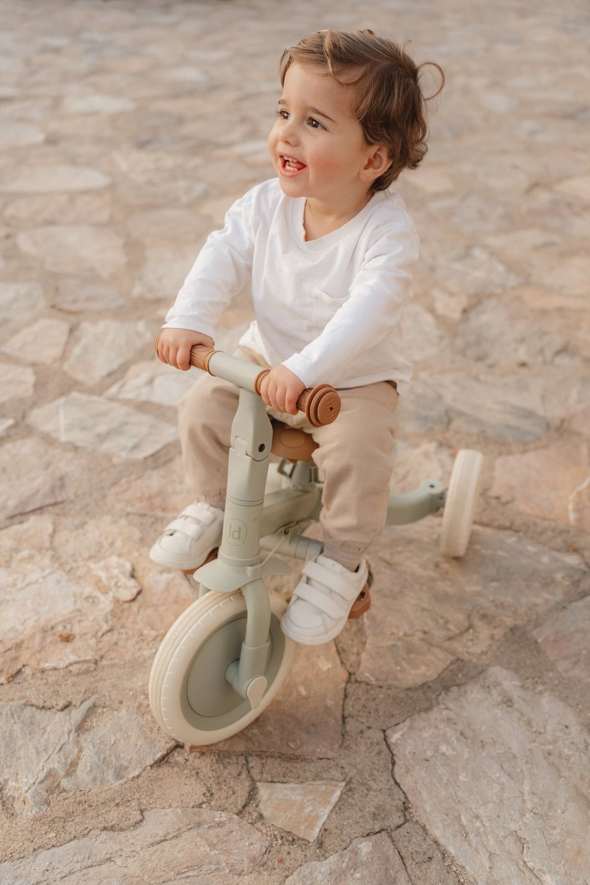 4 in 1 Tricycle Little Dutch