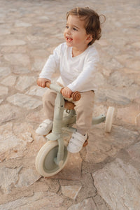 4 in 1 Tricycle Little Dutch