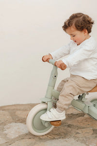 4 in 1 Tricycle Little Dutch