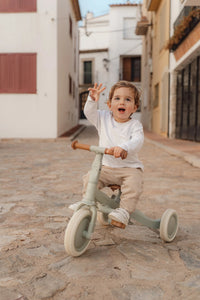 4 in 1 Tricycle Little Dutch