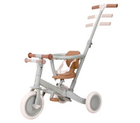 4 in 1 Tricycle Little Dutch