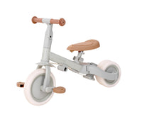 4 in 1 Tricycle Little Dutch