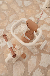 4 in 1 Tricycle Little Dutch