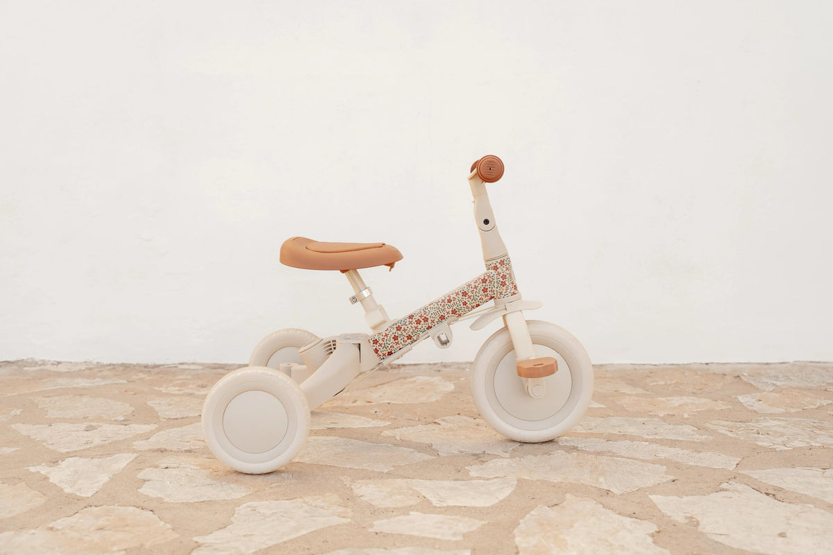 4 in 1 Tricycle Little Dutch