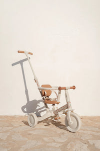 4 in 1 Tricycle Little Dutch