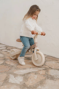 4 in 1 Tricycle Little Dutch