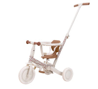 4 in 1 Tricycle Little Dutch
