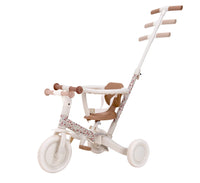 4 in 1 Tricycle Little Dutch