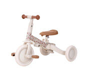 4 in 1 Tricycle Little Dutch