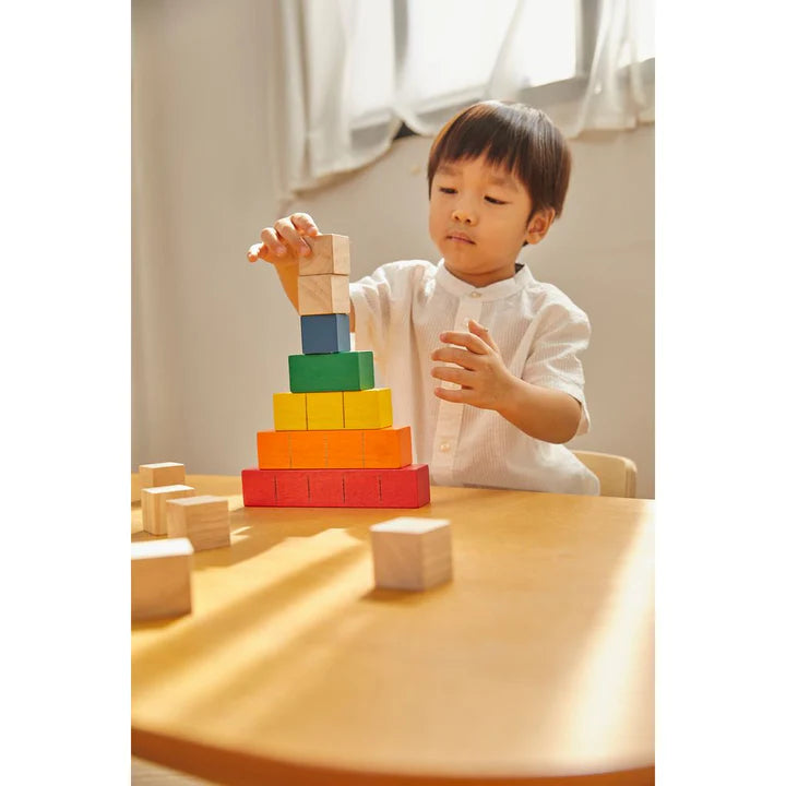 Colored Counting Blocks - Unit Plus