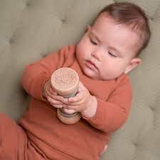 Rain Rattle Little Farm