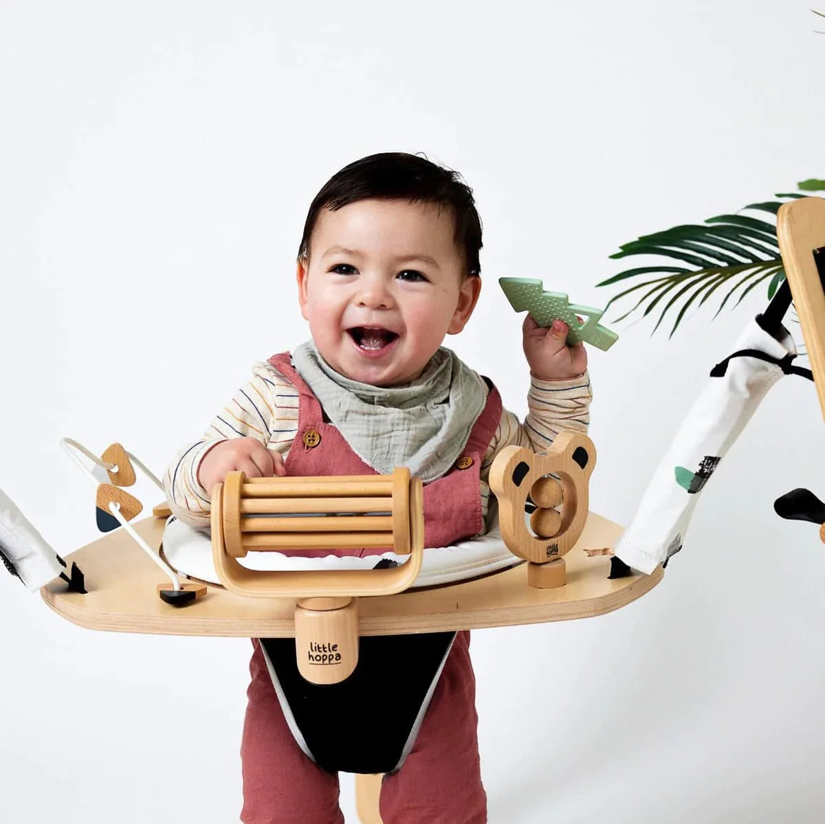 Little Hoppa 3 in 1