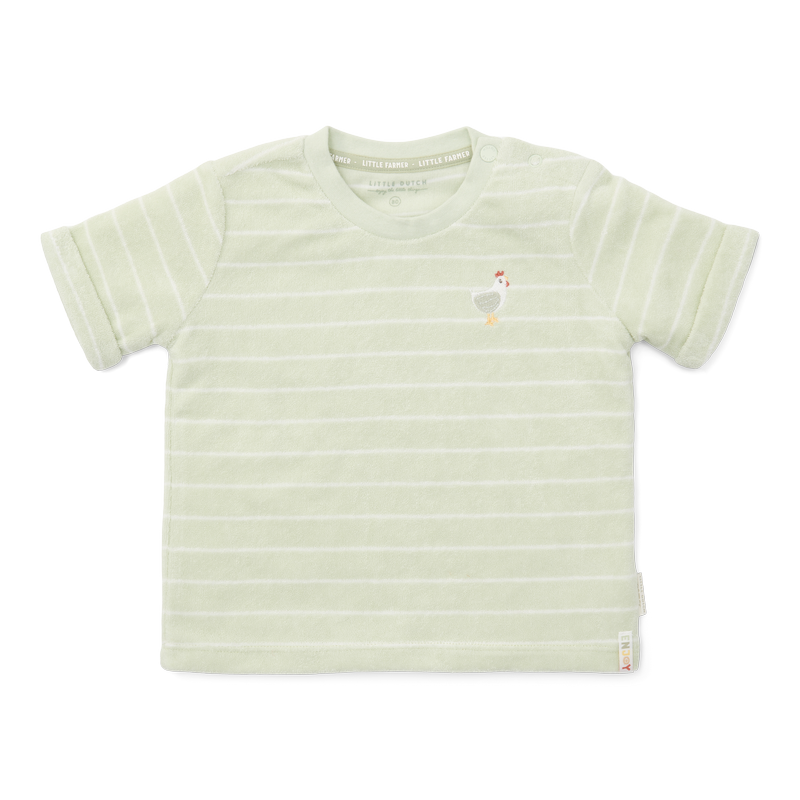 Terry T-shirt short sleeves green Stripes