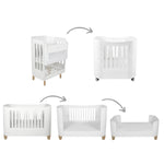 White crib showing multiple stages of growth on a white background