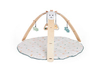 Little Hoppa Hanging Toys
