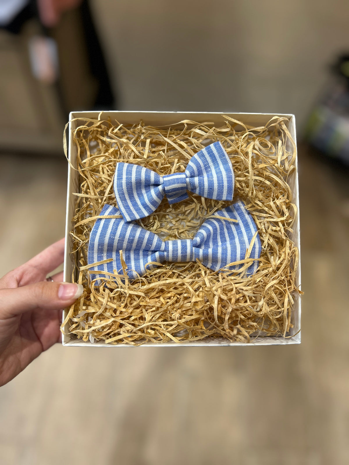 Dad & Me Bow Tie - Nautical Stripe
