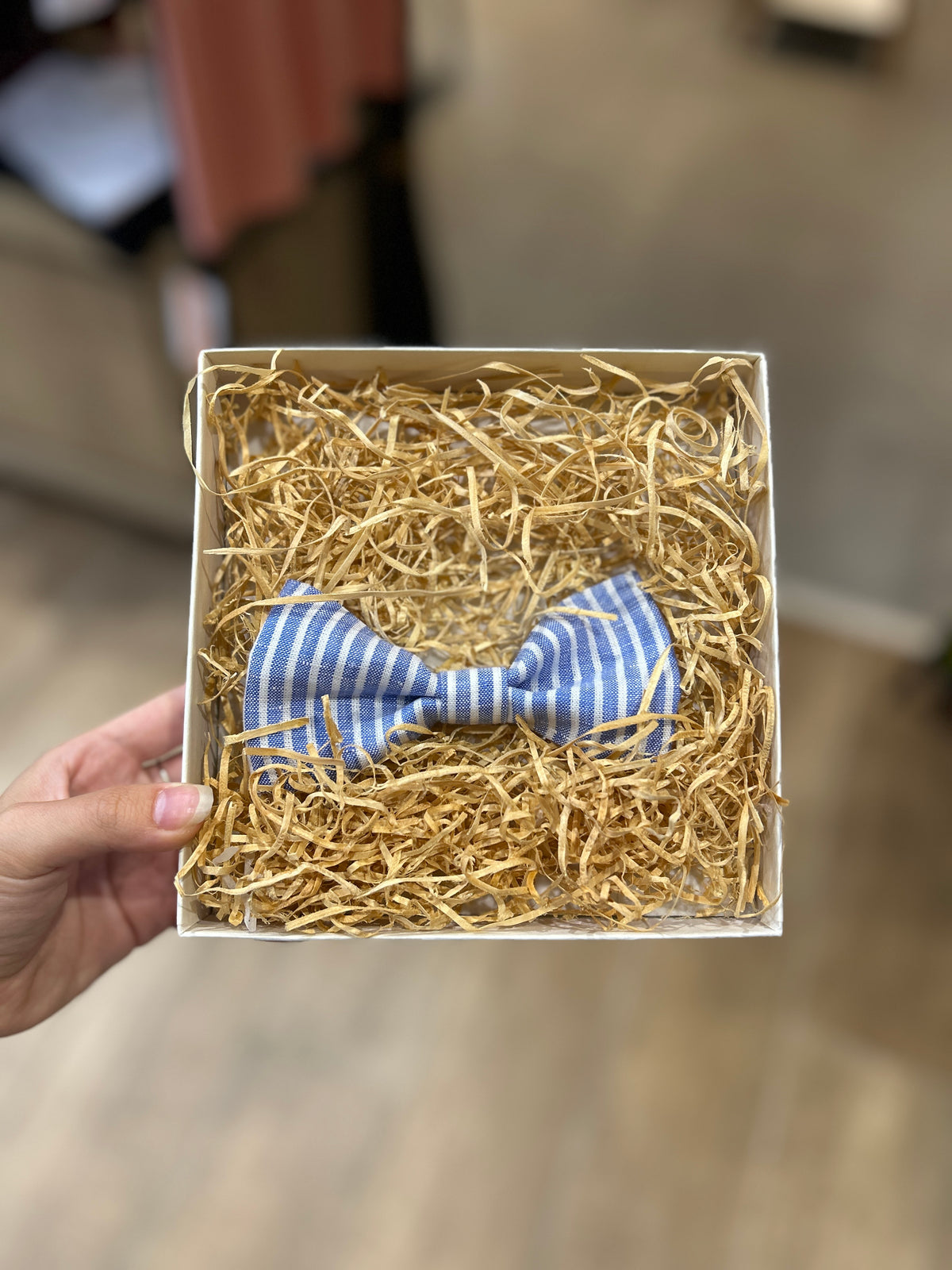 Men Bow Tie - Nautical Stripe