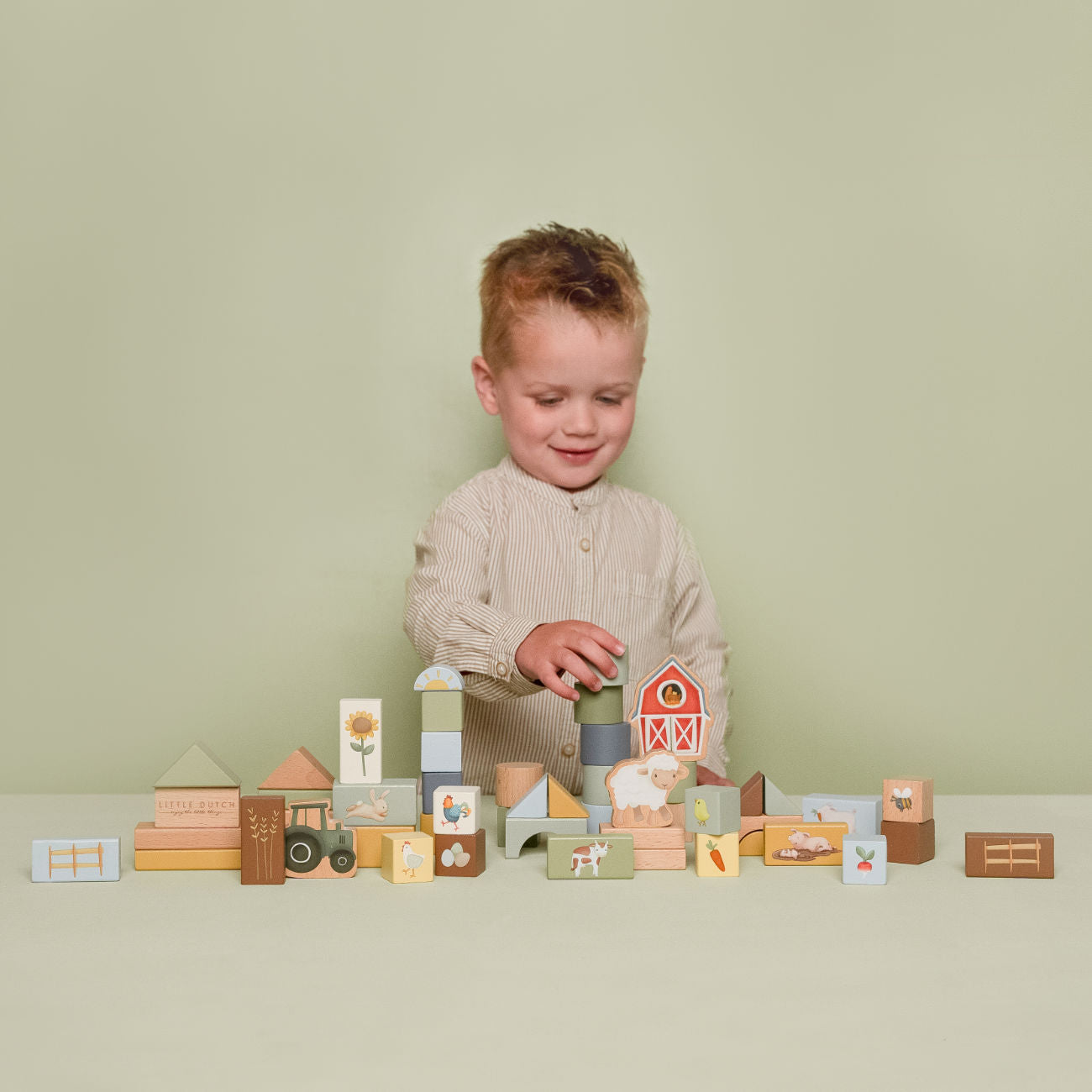 Building Blocks Little Farm