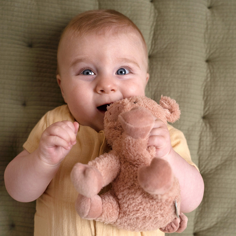 Cuddle Pig 17cm Little Farm