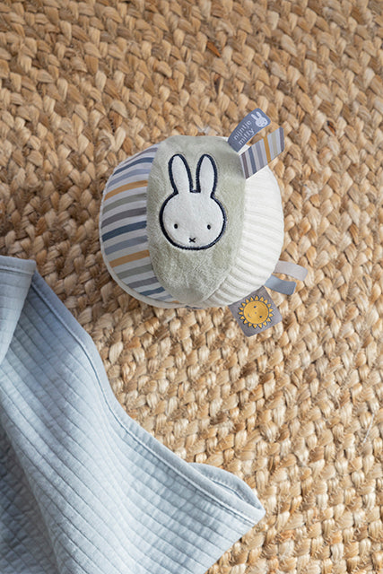 Gripping Ball Miffy | Fluffy Blue