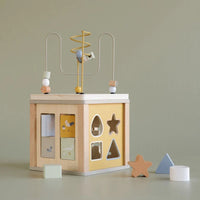Activity cube Little Goose FSC