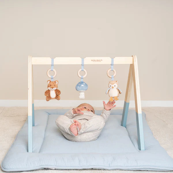 Babygym Forest Friends