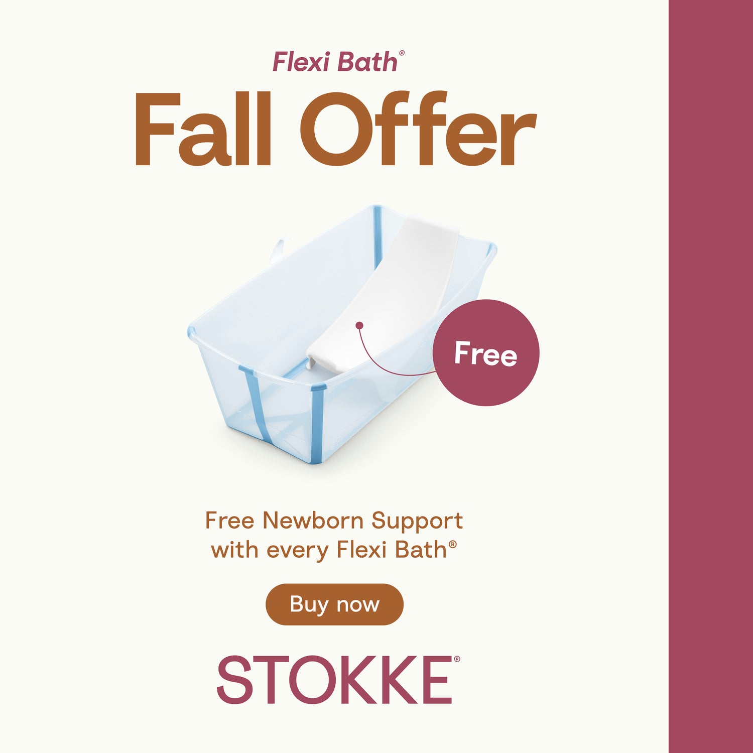 Fall Promo 25 Flexi Bath - Regular + Free Newborn Support