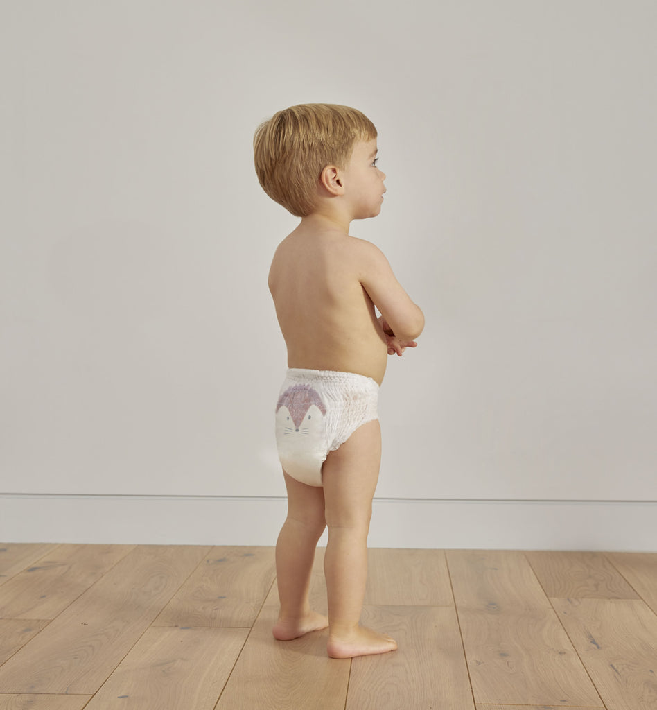 Eco Nappy Pants Size 6 | Hedgehog & Raccoon | 15kg+