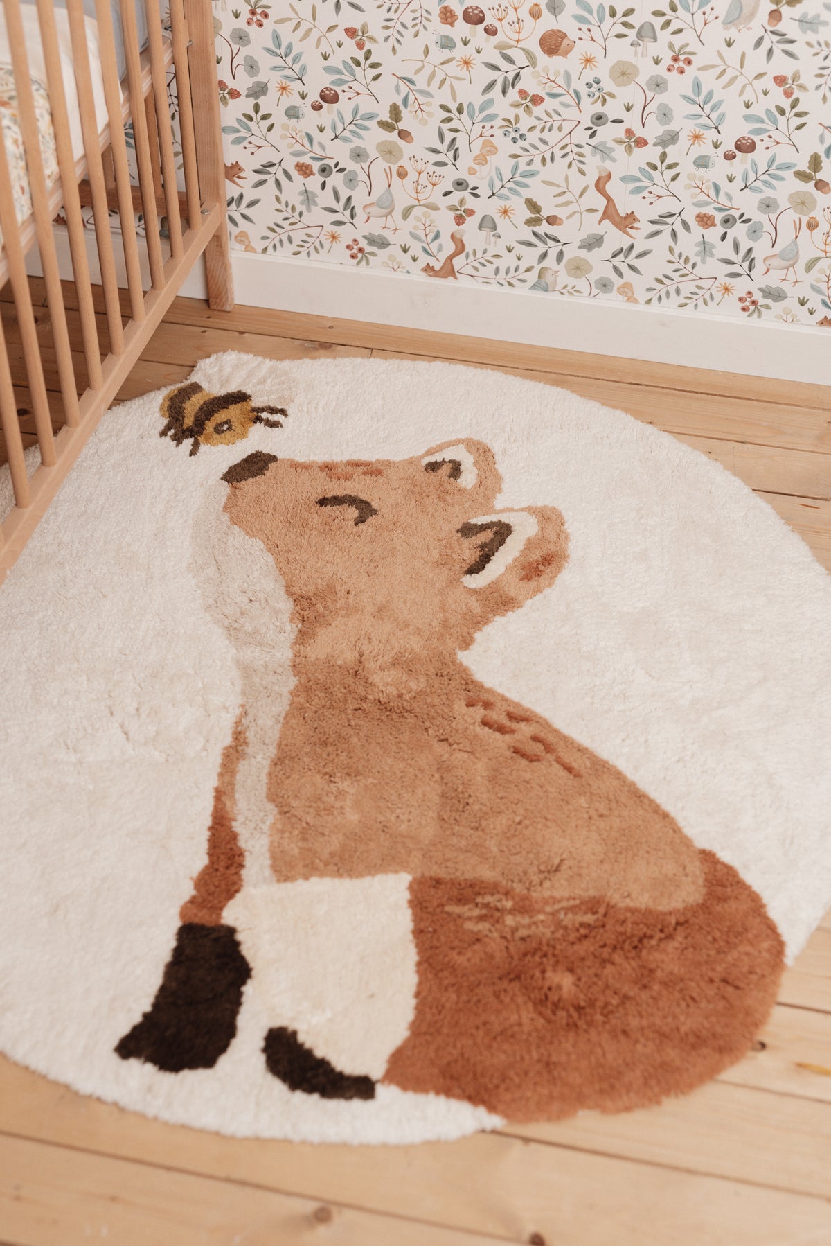 Rug Fox