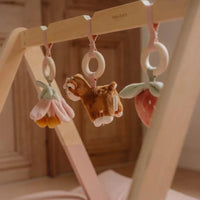 Babygym Fairy Garden