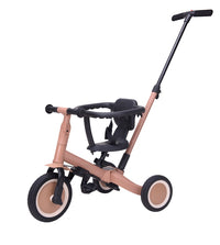 Tricycle with push bar LIO