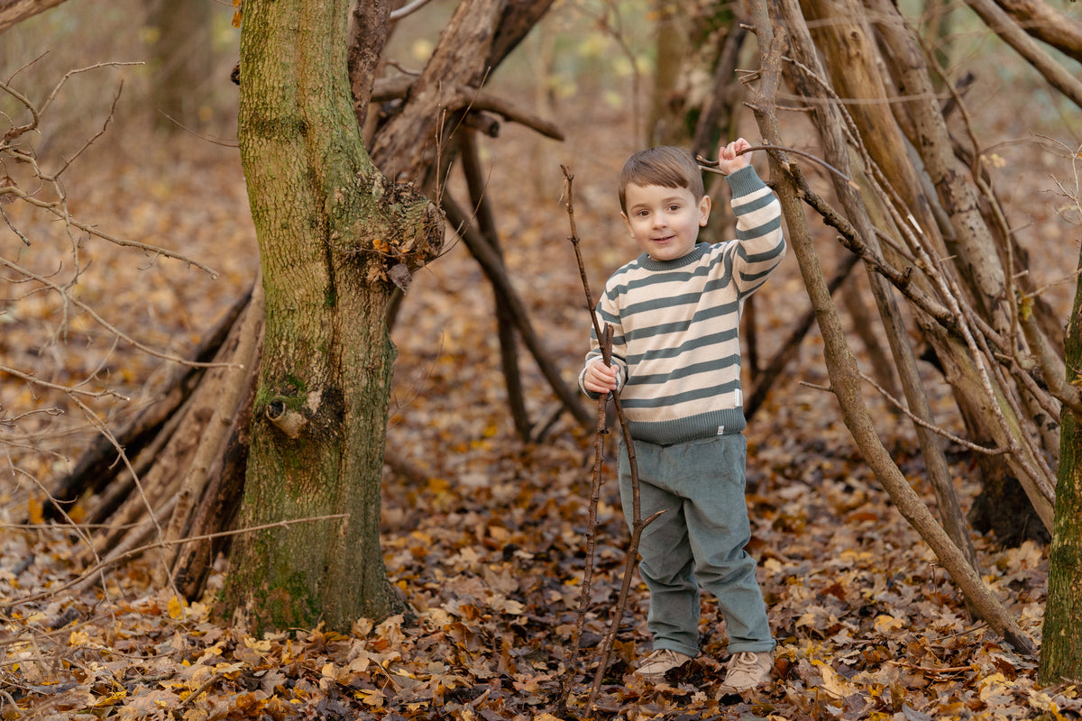 Green Stripe Knitted Sweater | Forest Friends