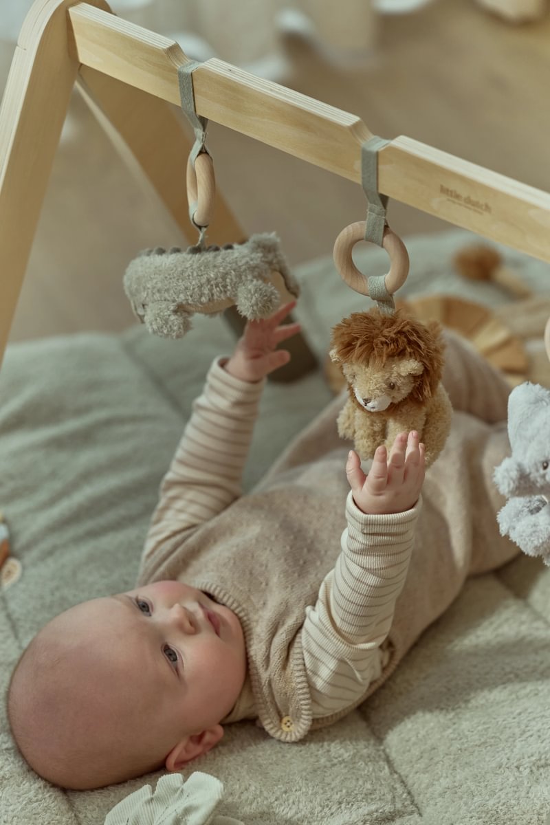 Baby Gym | Safari Friends